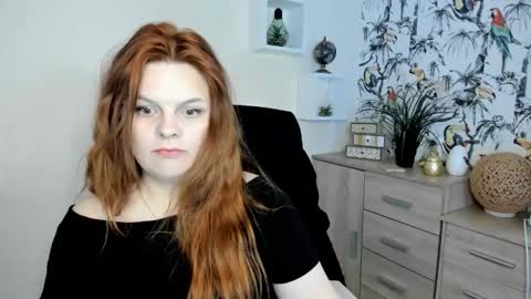 Kitten online show from May 12, 2026, 1:52 pm