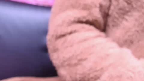 Snapshot of kitty_malach chatting on October 23, 2025, 2:22 am Kitty online show from October 23, 2025, 2:22 am