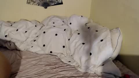 babygirlkitty online show from December 7, 2024, 4:42 am