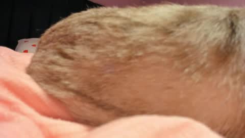 Yuna online show from April 19, 2026, 6:10 pm