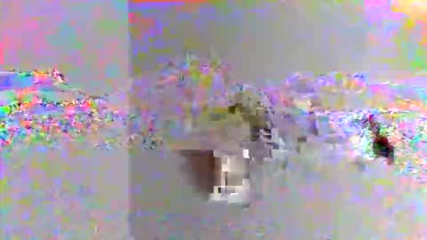 kjaimejimmy online show from November 8, 2025, 8:47 am