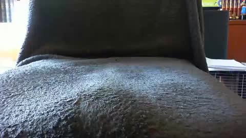 kledenn online show from October 25, 2025, 10:23 am