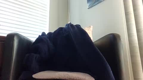 knightrider4324 online show from December 21, 2024, 7:06 pm