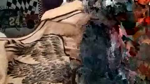 Snapshot of knock2wice1975 chatting on January 5, 2025, 7:17 am knock2wice1975 online show from January 5, 2025, 7:17 am