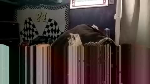 Snapshot of knock2wice1975 chatting on January 20, 2025, 4:32 am knock2wice1975 online show from January 20, 2025, 4:32 am