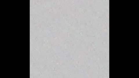 knox_steele online show from November 30, 2025, 9:35 am