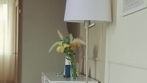 Kristi online show from September 13, 2025, 5:18 am