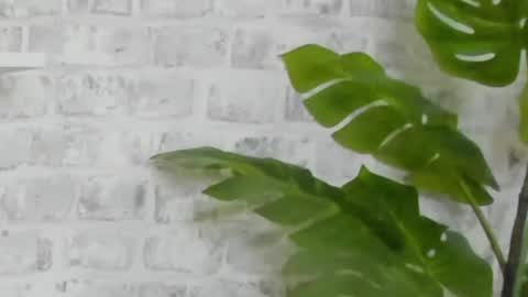 Kristi online show from December 15, 2024, 9:45 am