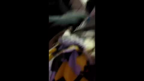 Snapshot of labran817 chatting on April 11, 2026, 11:47 am labran817 online show from April 11, 2026, 11:47 am