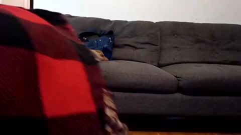 lacybell online show from February 7, 2025, 10:40 am