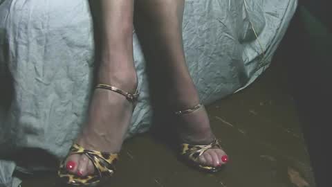 lana_legs53 online show from May 31, 2026, 5:59 am