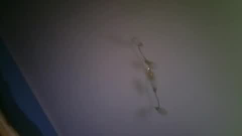 Snapshot of larry009 chatting on December 15, 2025, 3:00 am larry009 online show from December 15, 2025, 3:00 am