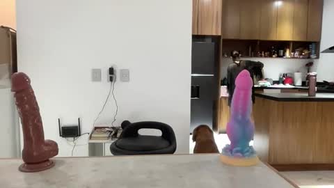 Snapshot of latina_sasha chatting on April 16, 2026, 2:01 am latina_sasha online show from April 16, 2026, 2:01 am