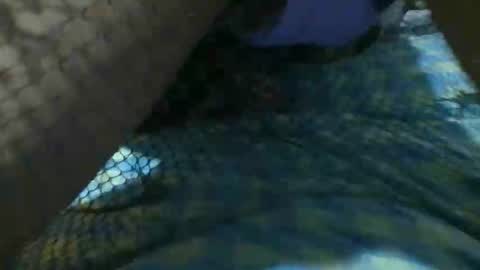 latinoboi2 online show from April 1, 2026, 4:57 am