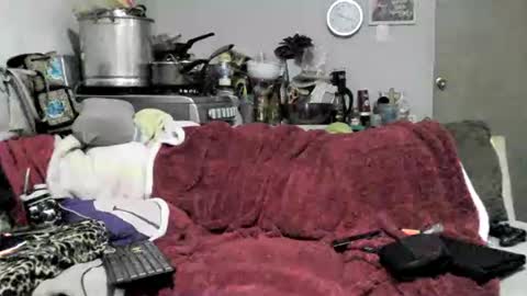 Snapshot of lauradecuada2 chatting on February 8, 2026, 4:38 am lauradecuada2 online show from February 8, 2026, 4:38 am