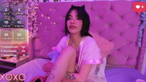 Lauren evans9 online show from January 8, 2025, 7:45 am