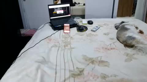 kelly online show from October 9, 2025, 4:54 am