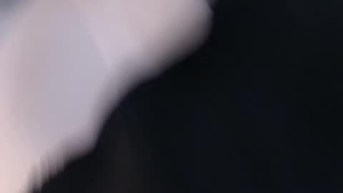 laylacruz online show from March 2, 2025, 9:53 am