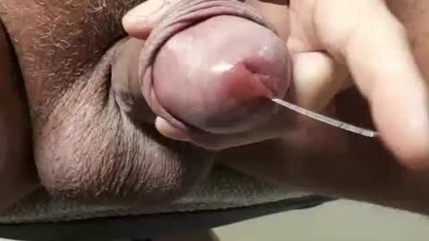 legofactory online show from November 27, 2025, 5:09 am