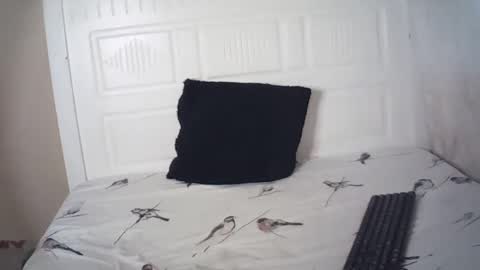 lenah6 online show from February 3, 2026, 6:40 am