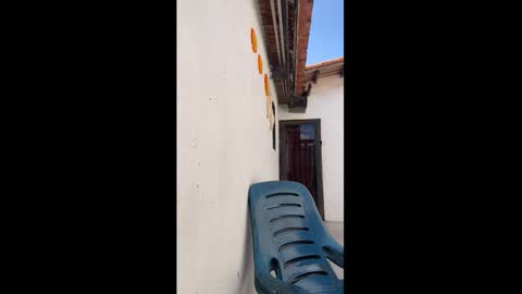 leo_latino1 online show from March 9, 2026, 6:56 pm