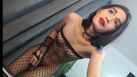 Snapshot of lesi_trisha chatting on February 4, 2025, 6:17 pm Trisha18 online show from February 4, 2025, 6:17 pm