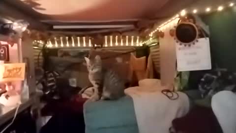 LesleyGumGrass- The Boring Trans girl online show from December 18, 2025, 3:56 am