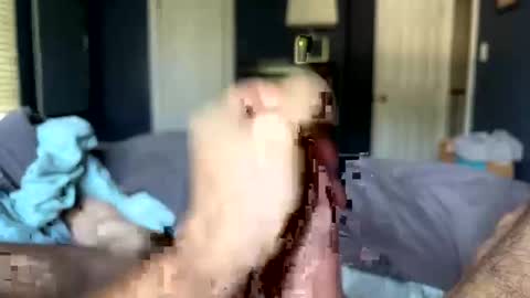 letmecumforyou71 online show from September 20, 2025, 12:50 pm