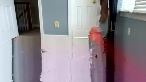 letmecumforyou71 online show from March 4, 2026, 6:14 pm