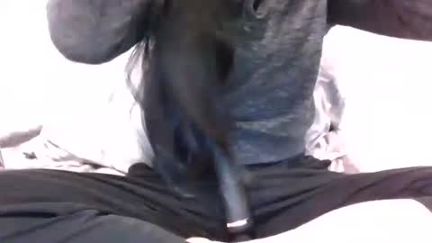 lets_play143 online show from February 16, 2026, 7:04 am