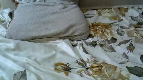 Snapshot of letshaveitbby chatting on November 15, 2025, 7:16 am letshaveitbby online show from November 15, 2025, 7:16 am