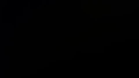 letsplay361 online show from November 10, 2025, 12:53 am