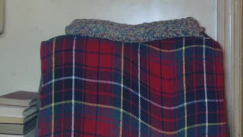 levon48 online show from December 19, 2024, 1:28 am