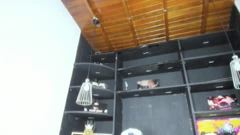 LevySteven online show from February 19, 2025, 10:23 am