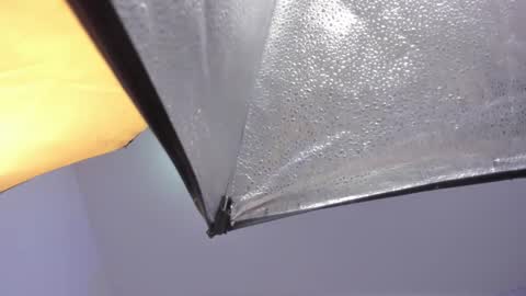 lexy and mia online show from January 18, 2026, 2:48 am