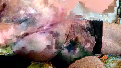 lickingover online show from April 8, 2026, 11:32 am