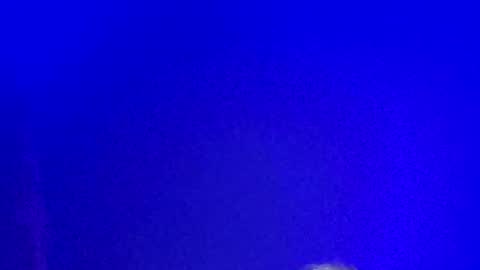 LickYourYoni online show from January 13, 2025, 2:21 pm