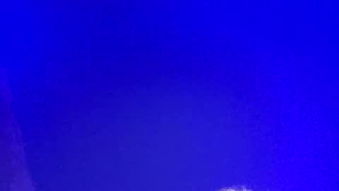 LickYourYoni online show from March 3, 2025, 2:48 pm