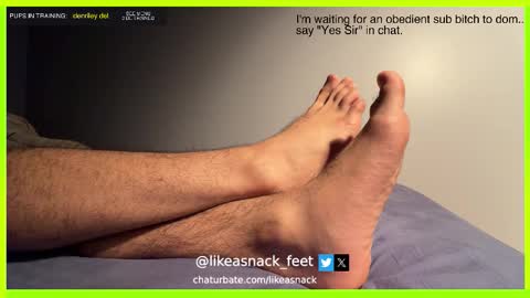 likeasnack online show from October 14, 2025, 6:47 am