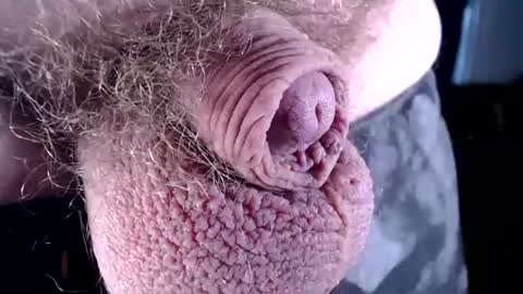 lildickbigbelly online show from July 6, 2026, 7:16 pm