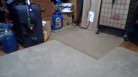 lildman420 online show from March 14, 2026, 5:51 pm