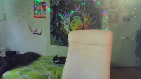 Lil online show from March 19, 2026, 2:59 am