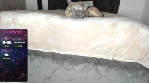 Lilith Parker online show from January 22, 2025, 1:20 am