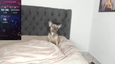 Lilith Parker online show from February 9, 2025, 4:14 am