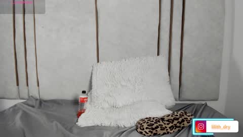 Snapshot of lilithdry chatting on March 27, 2026, 11:48 pm Lilith online show from March 27, 2026, 11:48 pm