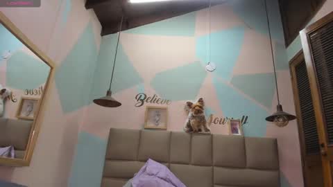 Lily online show from February 12, 2025, 11:18 am