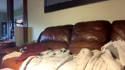 Richie Rich online show from December 6, 2024, 7:23 pm