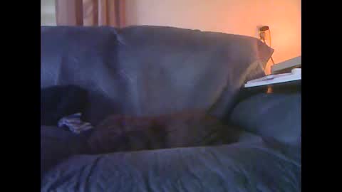 lion160868 online show from January 18, 2026, 9:13 am