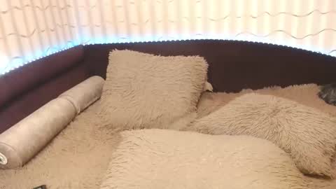 LIpsAddiction online show from October 20, 2025, 12:38 pm