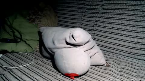 Malej Kmo online show from February 17, 2026, 12:40 am